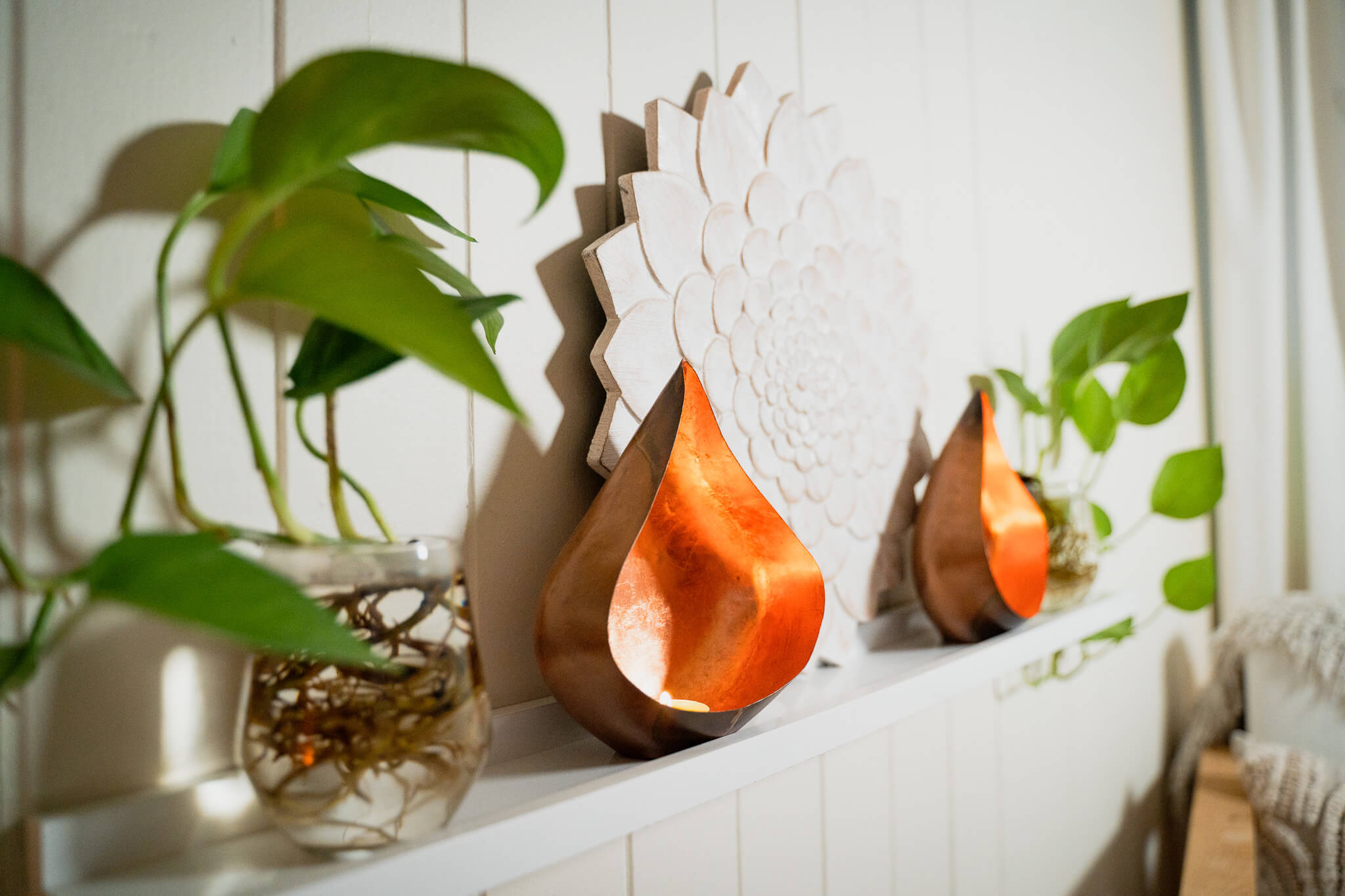 The Healing Sanctuary Clinic Ornaments and Plants