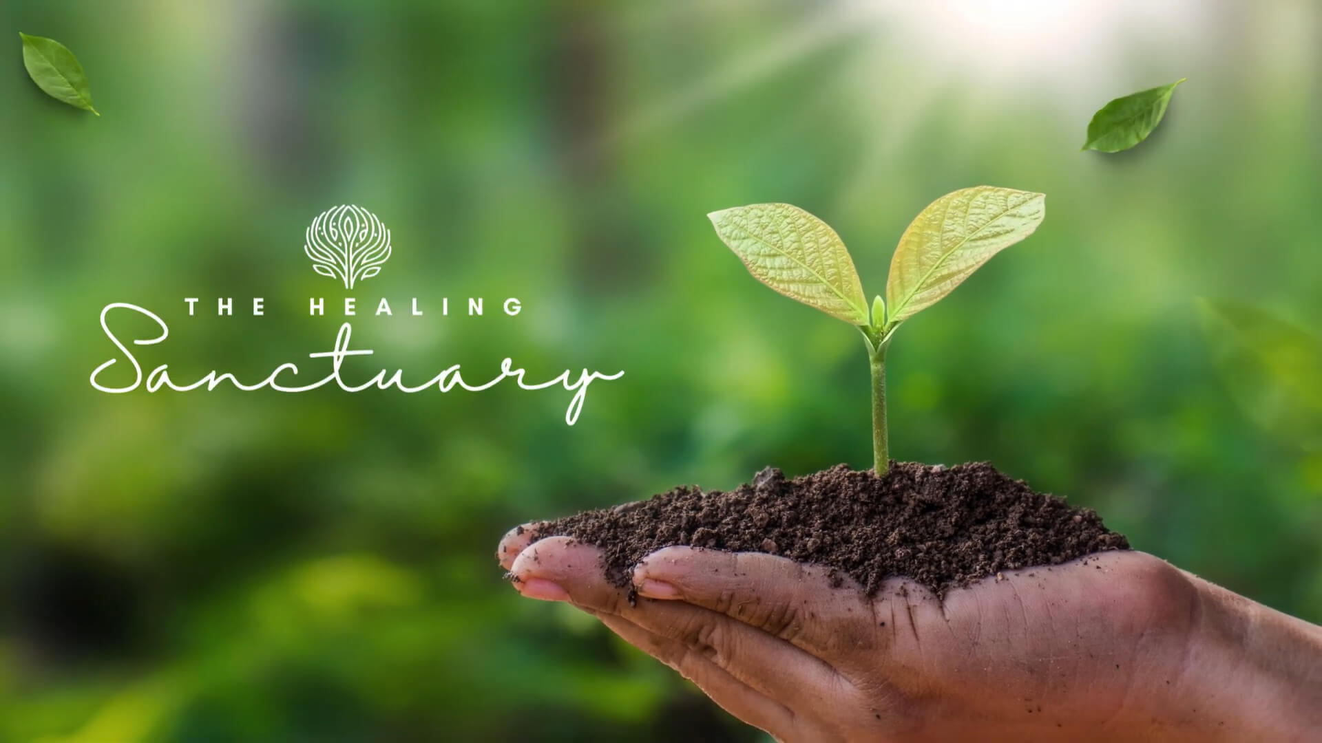 The Healing Sanctuary Promotional Video Image